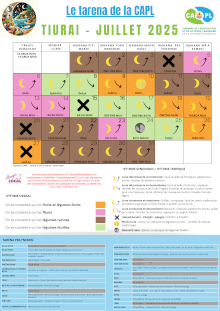 20250623_capl_tarena-juillet.png