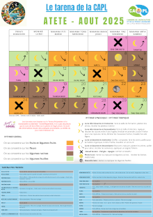 20250723_capl_tarena-aout.png