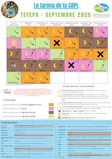 20250823_capl_tarena-septembre.png